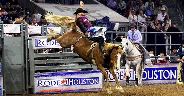 houston-livestock-show-and-rodeo