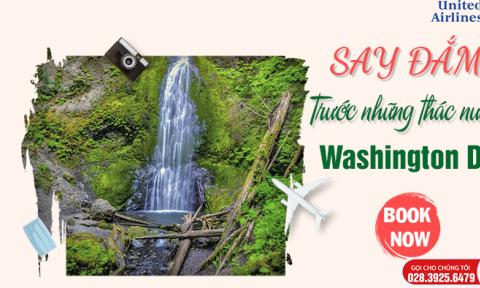 Say đắm trước những thác nước ngoạn mục tại Washington