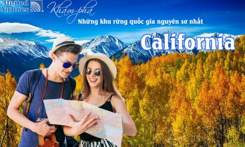 Khám phá những khu rừng quốc gia nguyên sơ nhất ở California