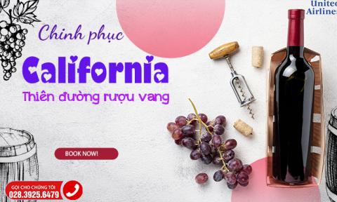 Chinh phục thiên đường rượu vang của California
