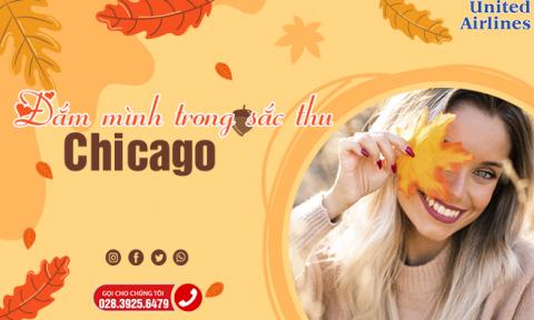 Đắm mình trong sắc thu tại Chicago