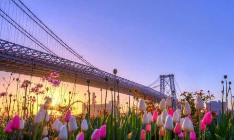 Kinh nghiệm du lịch New York