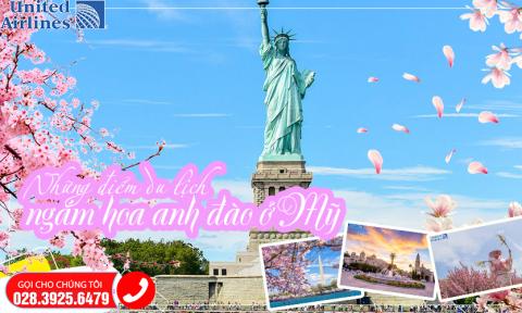 8 địa điểm hàng đầu để ngắm hoa anh đào ở Mỹ