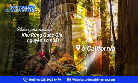 Top khu rừng quốc gia nguyên sơ nhất ở California