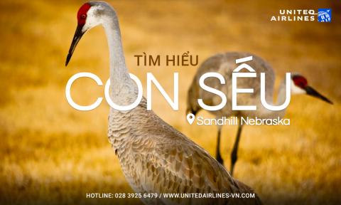 Tìm hiểu những con sếu Sandhill Nebraska