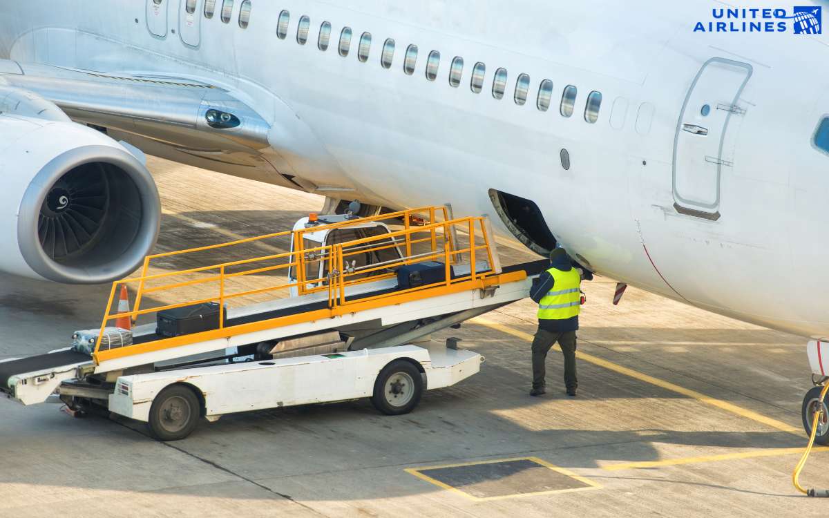 dịch vụ mua thêm hành lý ký gửi đi Mỹ