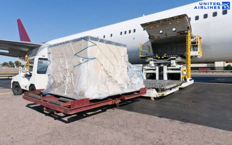 Tiêu chuẩn trọng lượng và kích thước hành lý ký gửi quốc tế