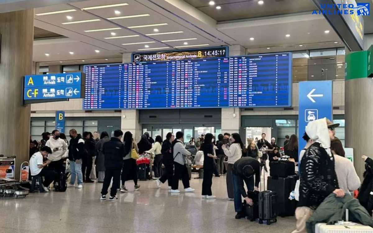 Tra cứu lịch bay quốc tế là gì Tra cứu lịch bay quốc tế là gì