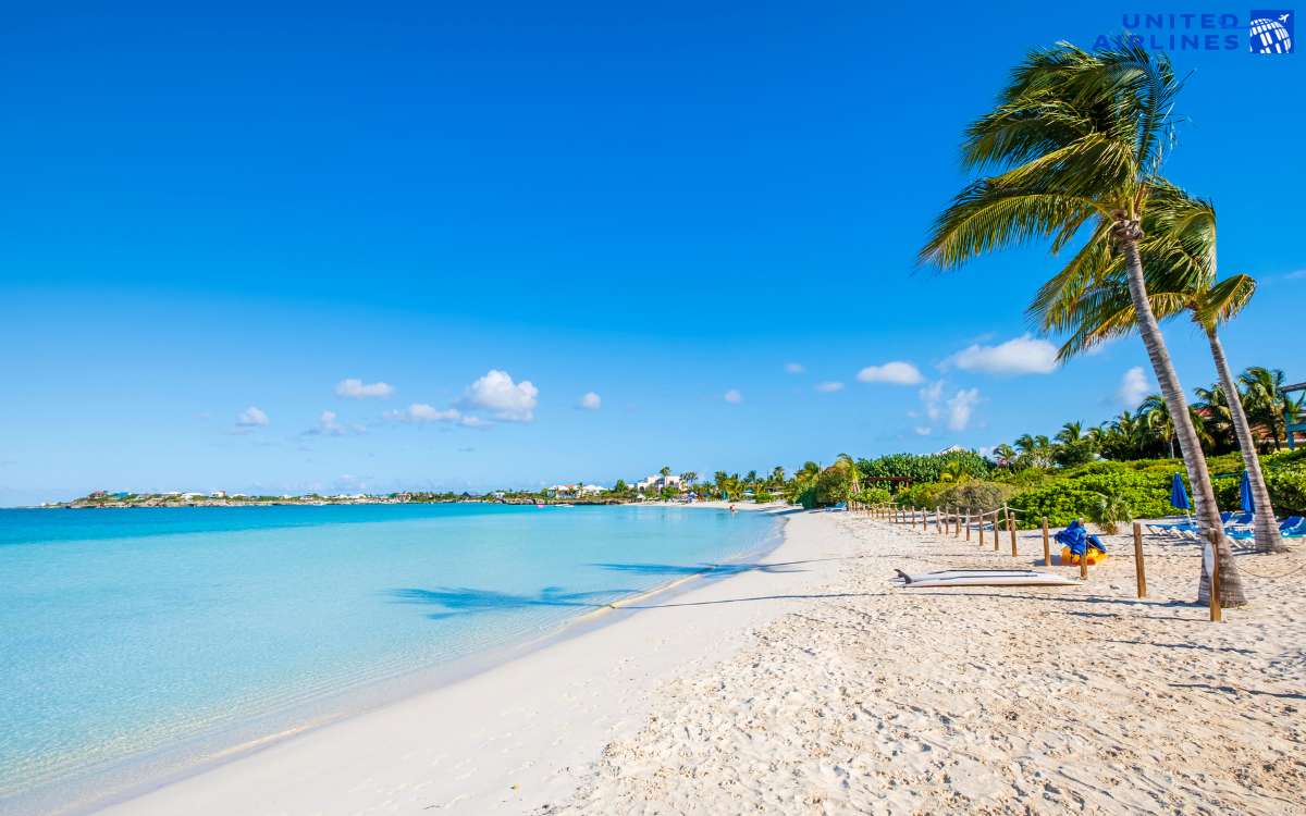 Chi phí vé máy bay từ Việt Nam sang Mỹ Chi phí vé máy bay từ Việt Nam sang Mỹ