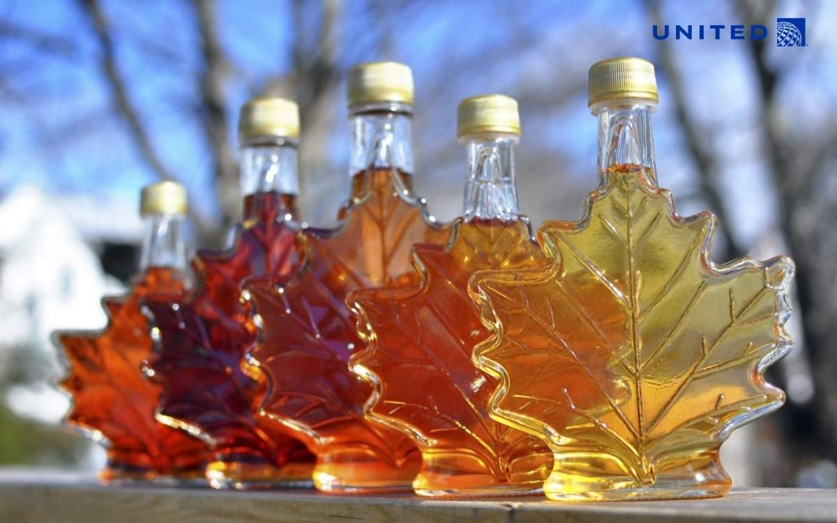 Siro lá phong Canada và các sản phẩm từ maple Siro lá phong Canada và các sản phẩm từ maple