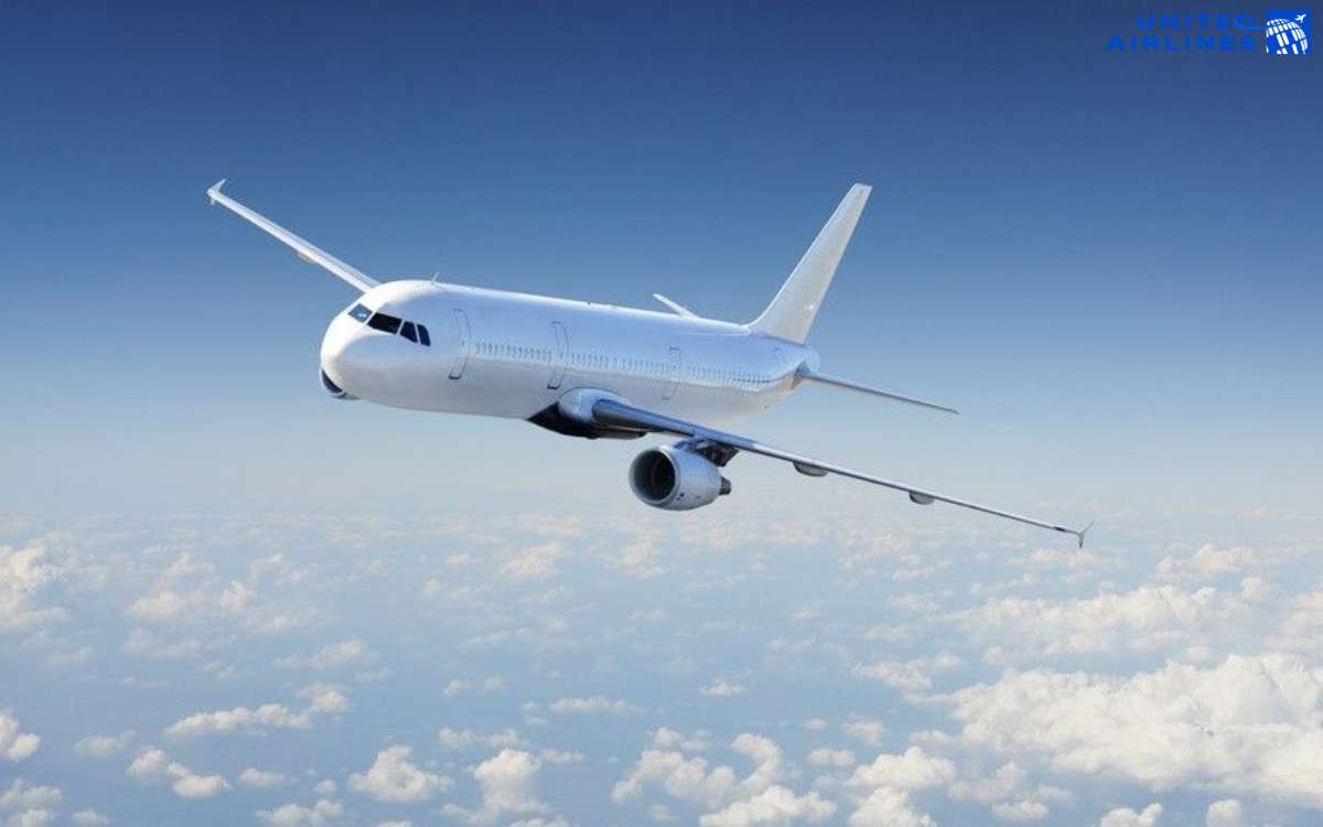 Quy định kích thước hành lý xách tay United Airlines Quy định kích thước hành lý xách tay United Airlines