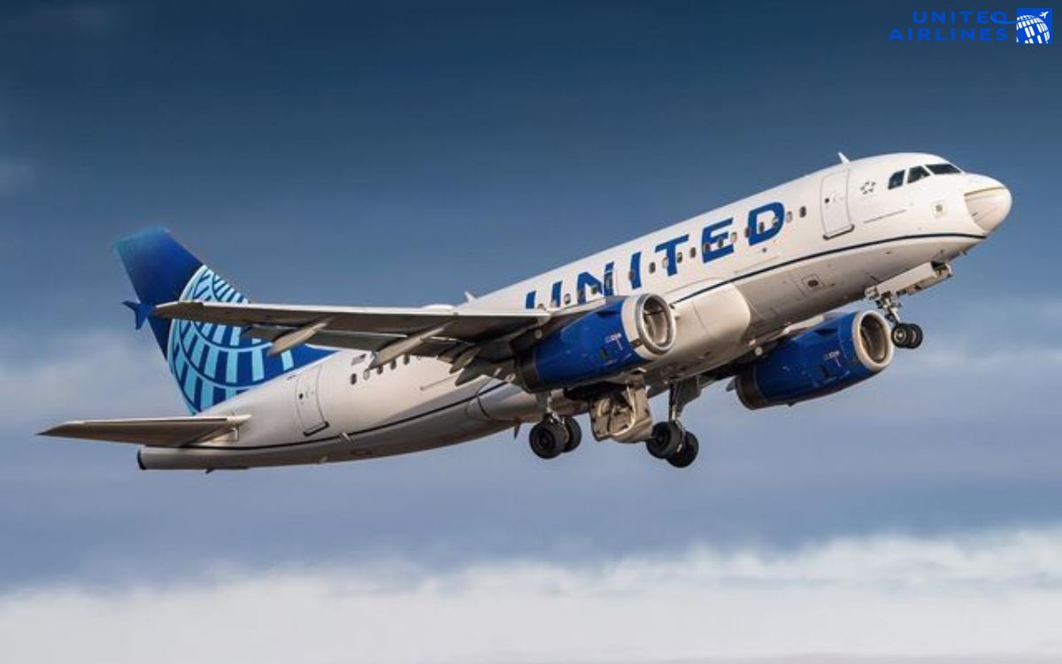 Vé phổ thông United Airlines là gì Vé phổ thông United Airlines là gì