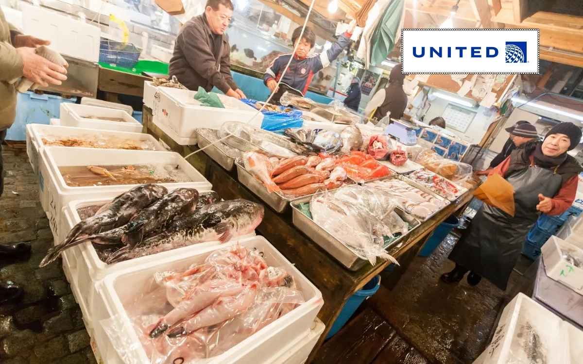 Cùng United khám phá đấu giá cá ngừ ở chợ Tsukiji