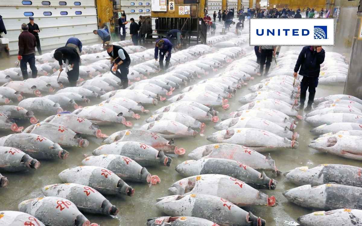 Chợ hải sản Tsukiji coi đấu giá lớn nhất tại Tokyo Chợ hải sản Tsukiji coi đấu giá lớn nhất tại Tokyo