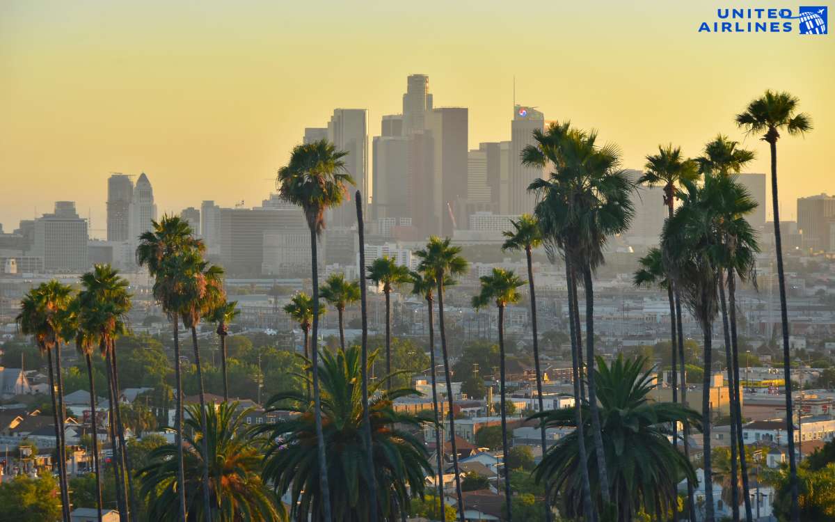 Kinh nghiệm săn vé rẻ California Việt Nam  