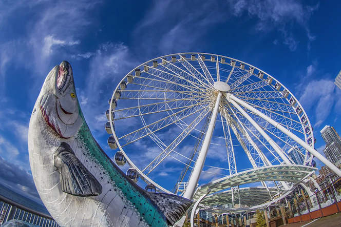 Khám phá Great Wheel và săn vé máy bay đi Seattle Khám phá Great Wheel và săn vé máy bay đi Seattle