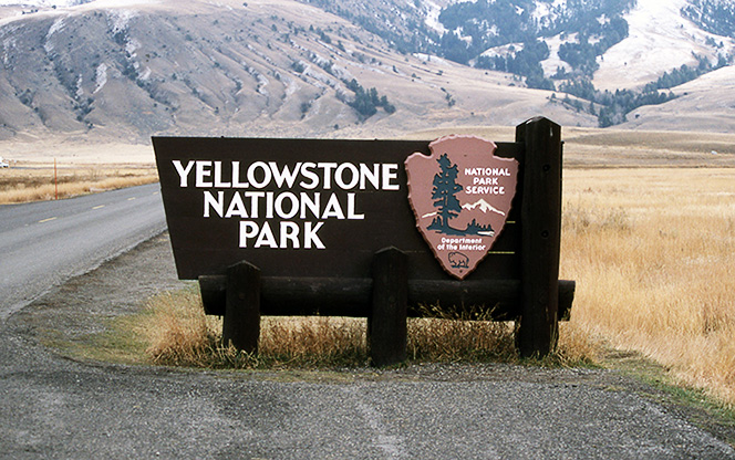 Utah Yellowstone