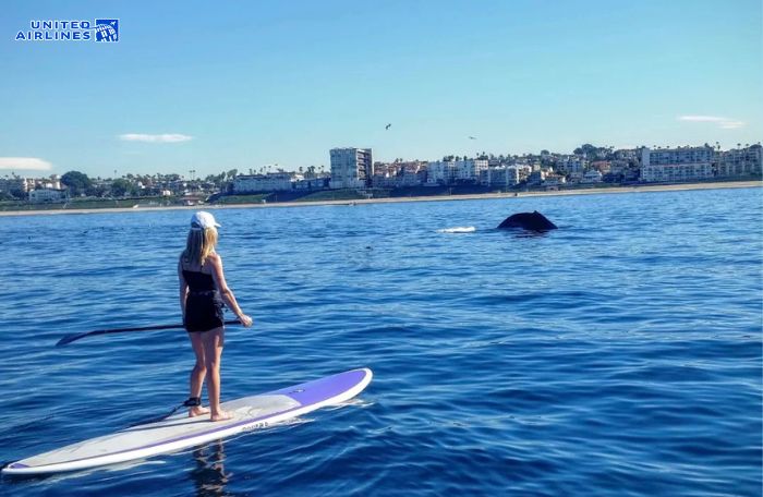 Chèo ván tại Mother’s Beach