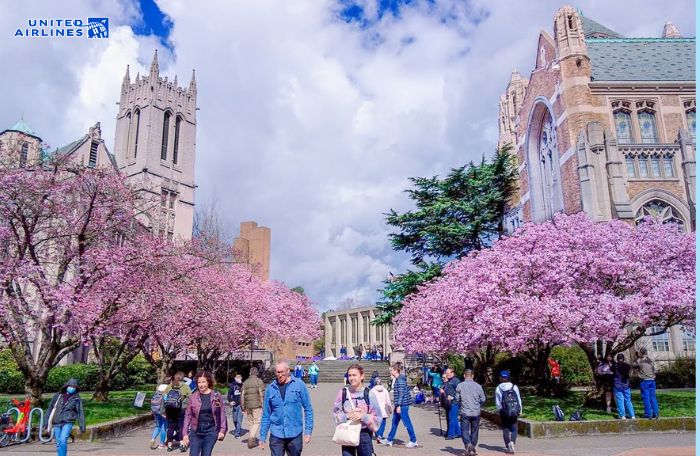 University of Washington