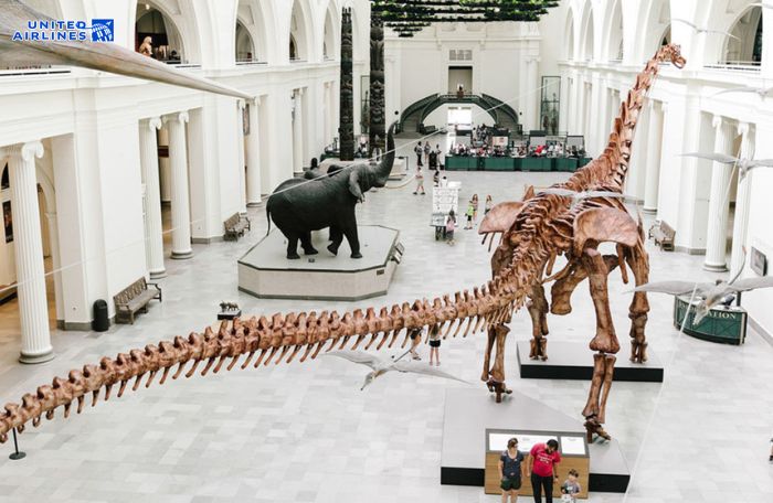 Khám phá bảo tàng tại Chicago