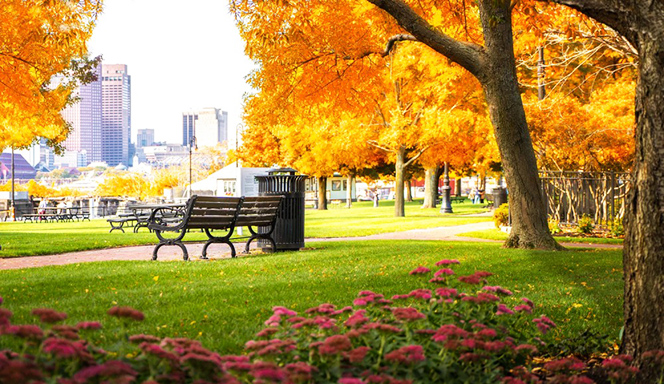Book vé máy bay đi Boston khám phá du lịch Book vé máy bay đi Boston khám phá du lịch