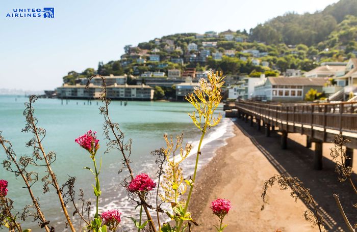 Tham quan thị trấn Sausalito