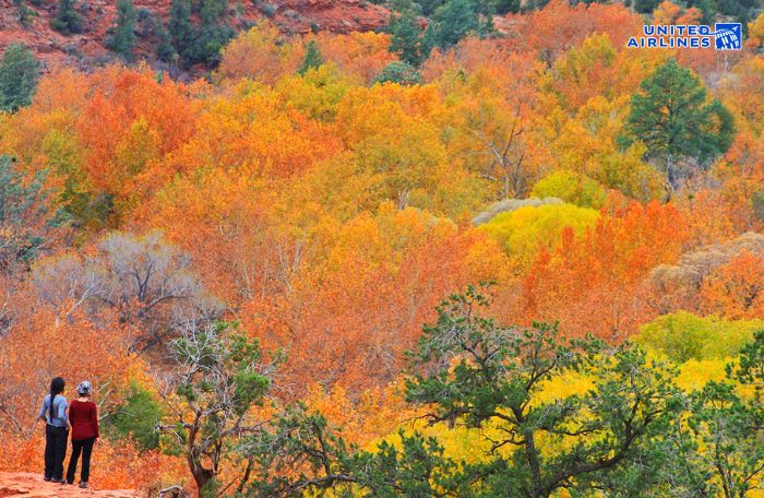 Thời điểm du lịch Phoenix phù hợp