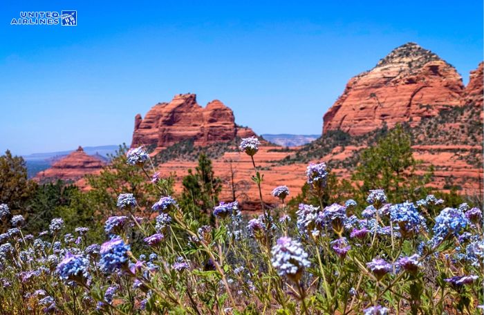 Thị trấn Sedona vào mùa xuân