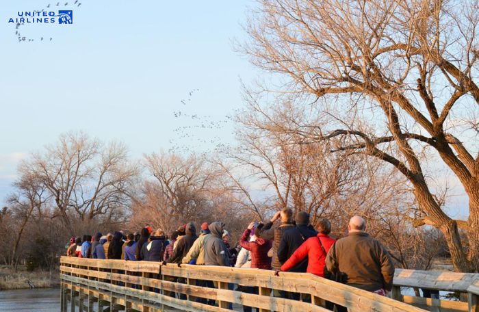Cầu đi bộ Fort Kearny
