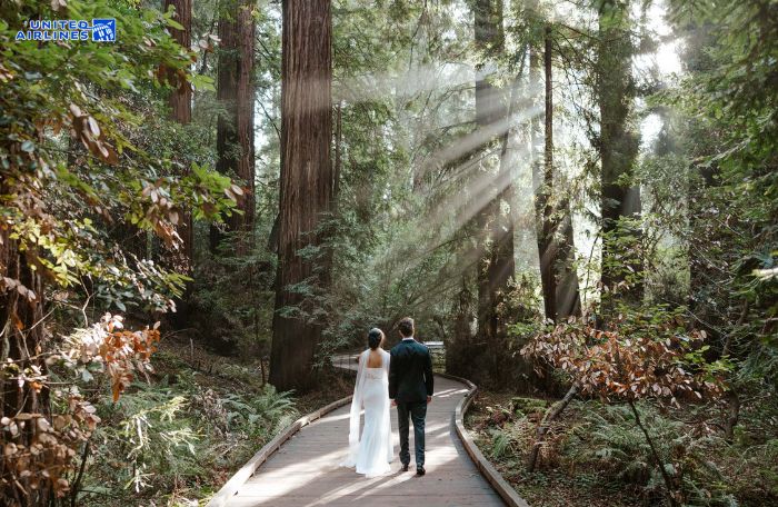 Công viên quốc gia Redwood