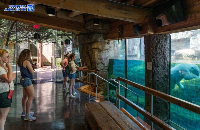 Hệ sinh thái phong phú ở sở thú Memphis 