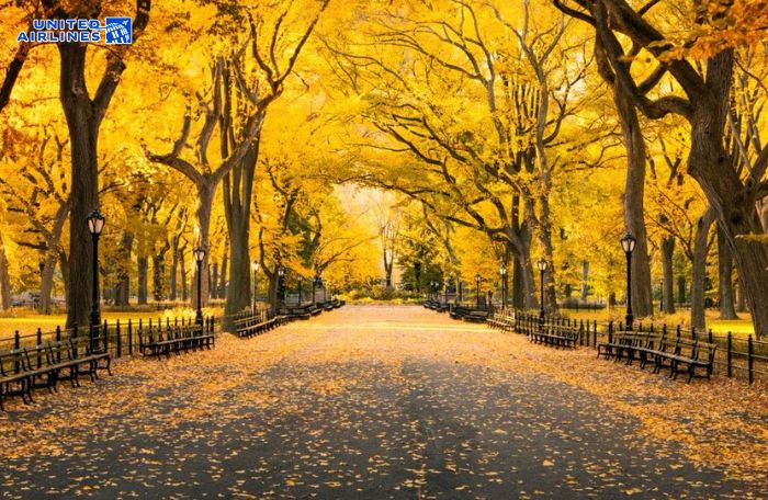 Thời tiết Memphis phân chia theo mùa