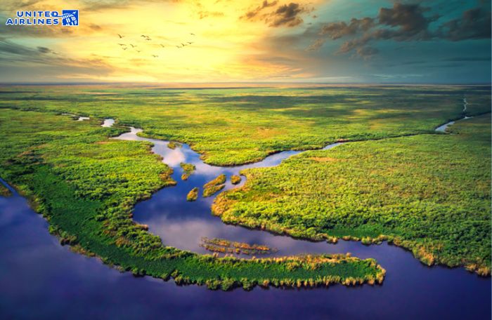 Công viên Everglades