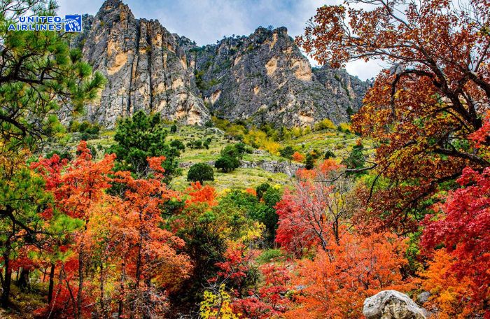 Công viên quốc gia Guadalupe