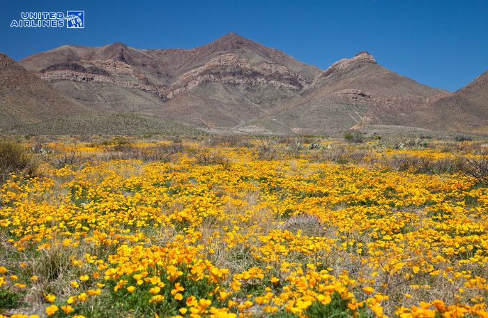 Công viên Franklin Mountains