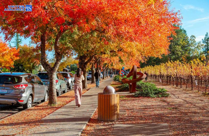 Thời điểm du lịch San Francisco lý tưởng