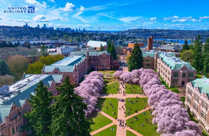 Vẻ đẹp mùa xuân ở Đại học Washington