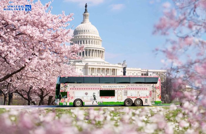 Mùa hoa anh đào tại Mỹ