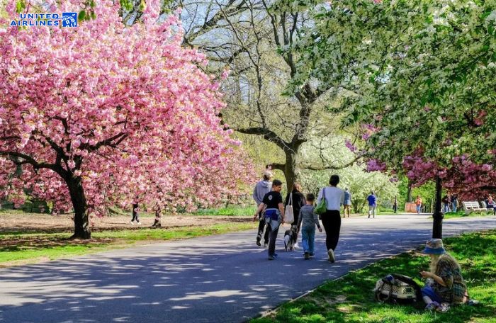 Sắp xếp lịch trình tham quan Mỹ hợp lý