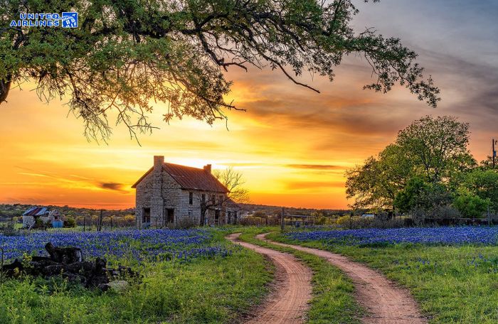 Mùa xuân Texas Hill Country