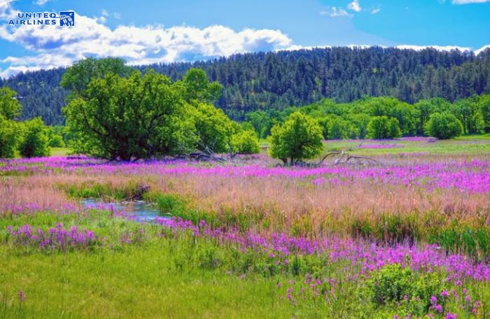 Mùa xuân South Dakota Mùa xuân South Dakota