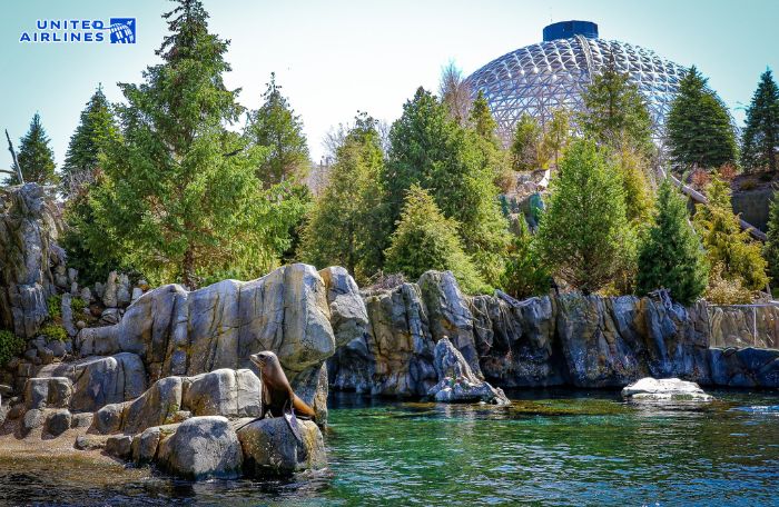 Không gian của sở thú Henry Doorly