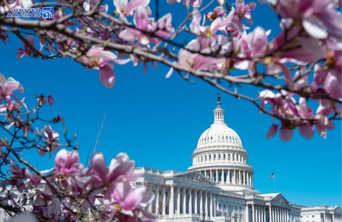 Thủ đô Washington, D.C. vào mùa hoa anh đào