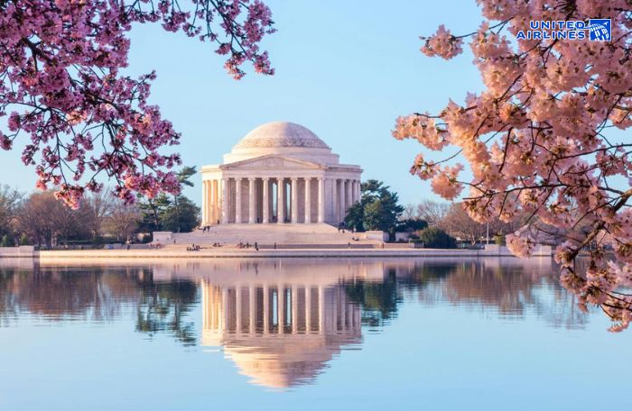 Hồ Tidal Basin đẹp lãng mạn vào mùa xuân