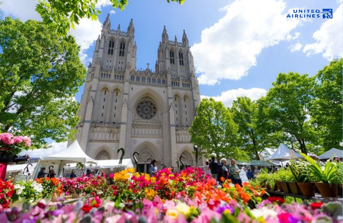 Mùa xuân tại thủ đô Washington DC