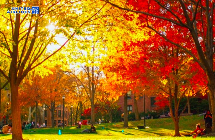 Mùa thu ở Philadelphia