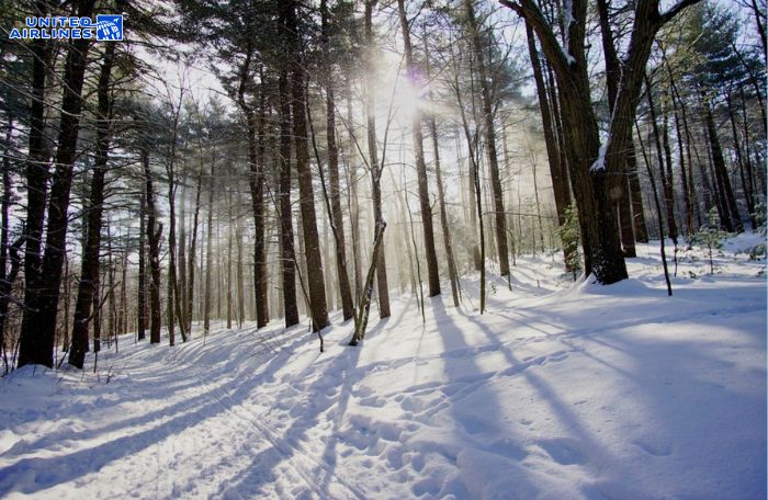 Khí hậu mùa đông Mỹ Khí hậu mùa đông Mỹ