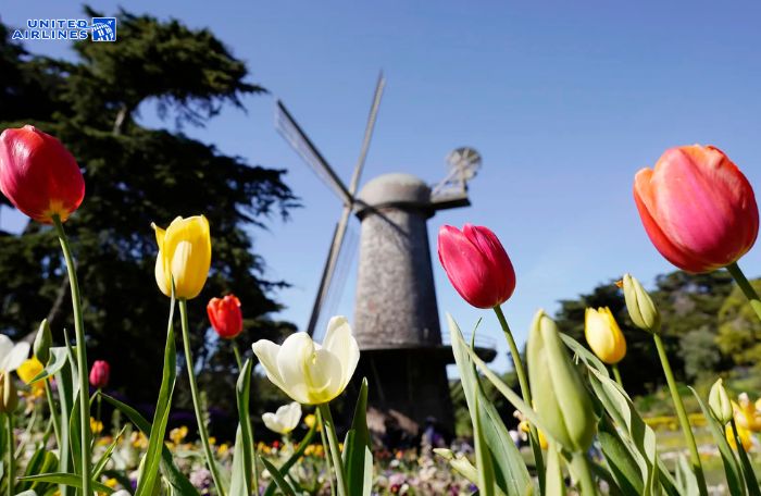 Thành phố San Francisco