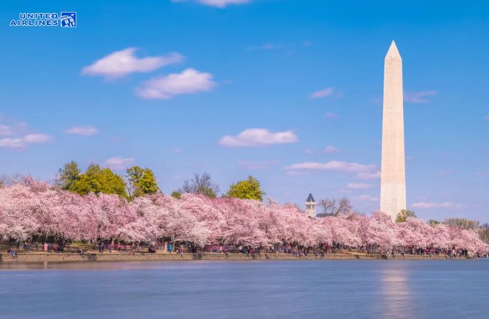 Thủ đô Washington D.C