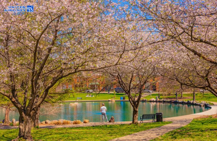 Mùa hoa anh đào ở Columbus